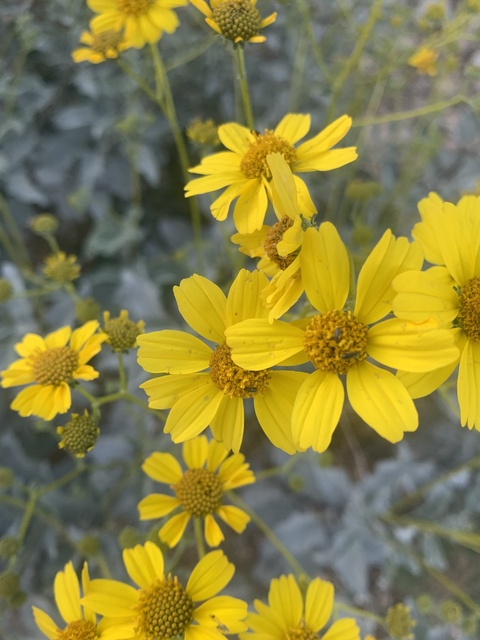 angelarae27 header picture leakfans.com