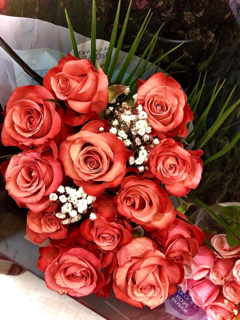 angellonnie header picture leakfans.com