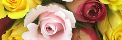 angeltownsend45 header picture leakfans.com