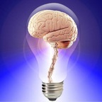 animometria profile picture leakfans.com