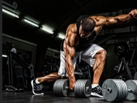 animometria header picture leakfans.com