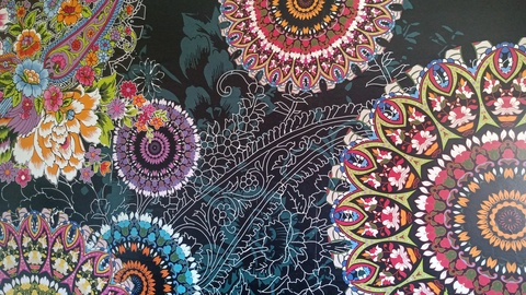 anisarawr header picture leakfans.com