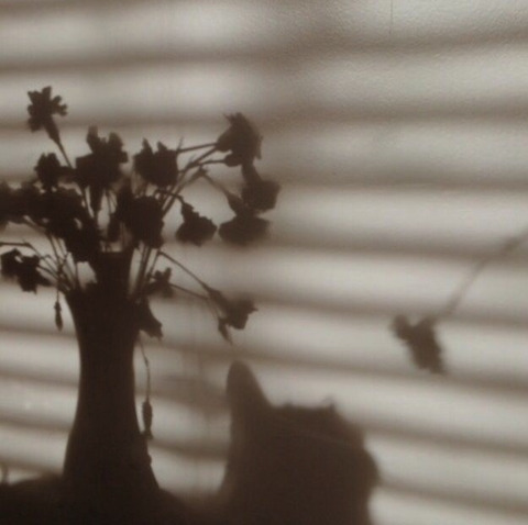 anna-rae header picture leakfans.com