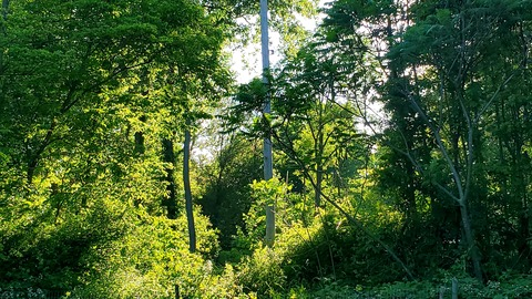 anna_ember header picture leakfans.com