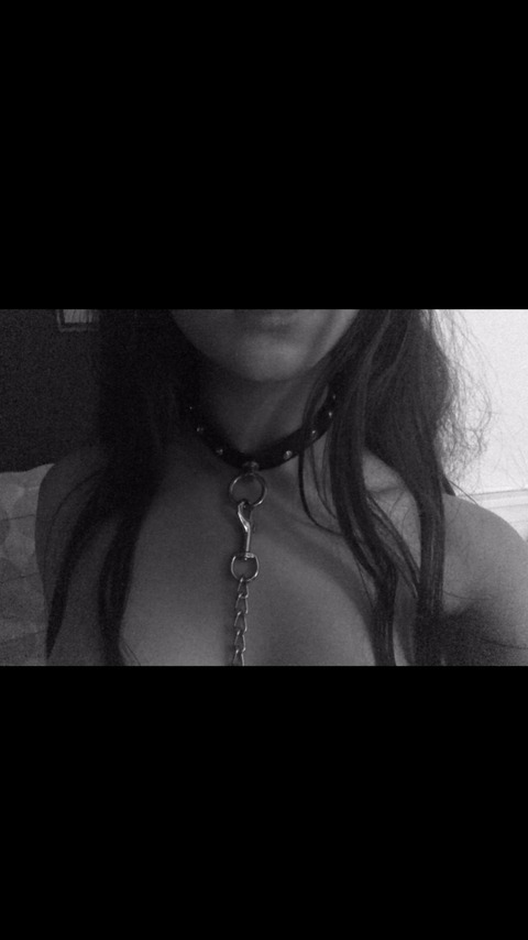 annabelucci header picture leakfans.com