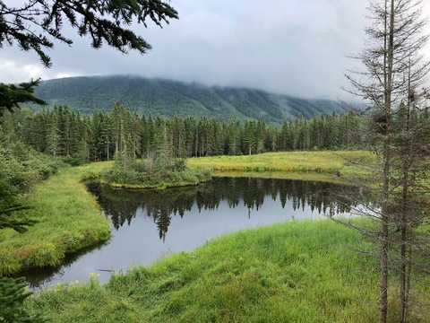 anthbasso95 header picture leakfans.com