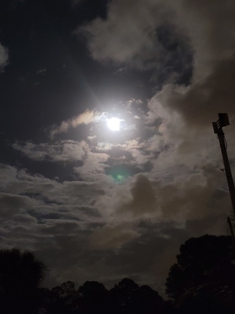 anythingbutplainfree header picture leakfans.com