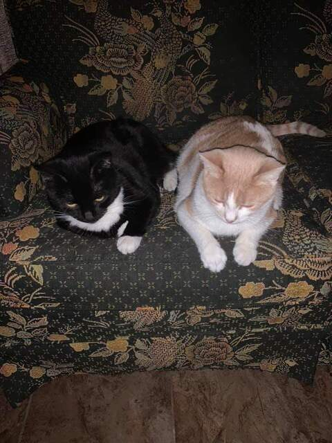 apinky98 header picture leakfans.com