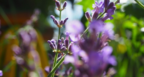 aprilmaey header picture leakfans.com