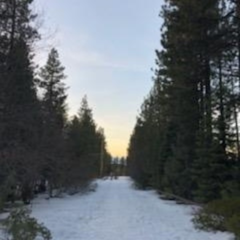 aquarian666 header picture leakfans.com