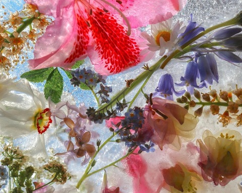 aralilith header picture leakfans.com