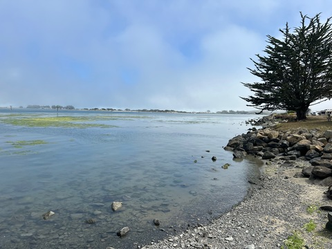 area19 header picture leakfans.com