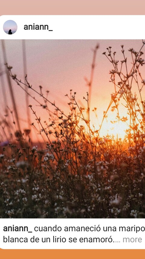 arelyvera header picture leakfans.com