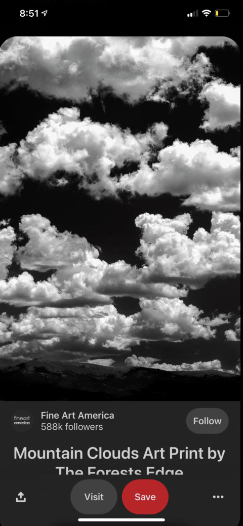 arialanie header picture leakfans.com