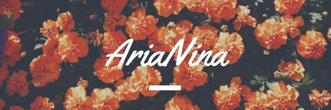 arianina header picture leakfans.com