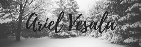 arielvesala header picture leakfans.com