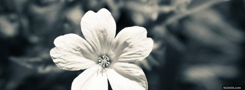 arizonababee header picture leakfans.com