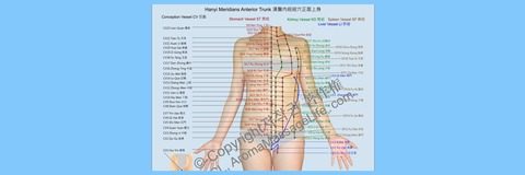 aromamassage header picture leakfans.com