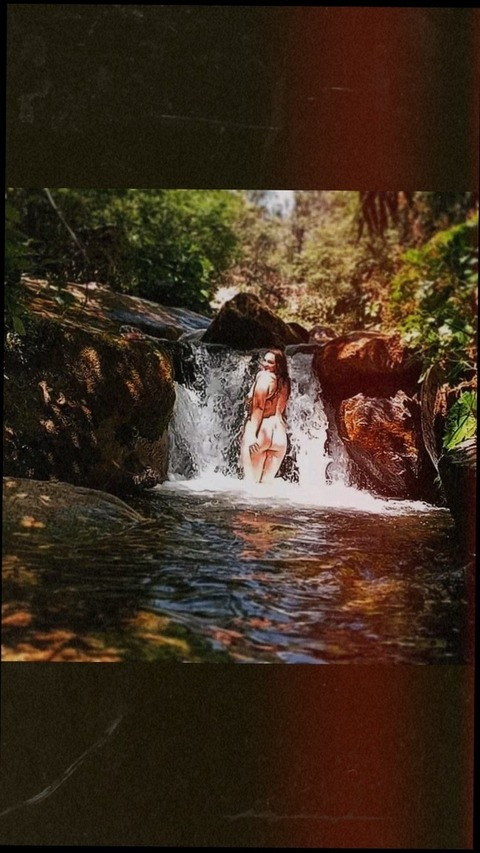 articfhox header picture leakfans.com