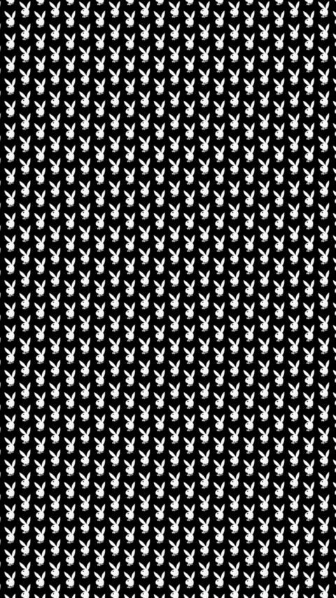 arybabe101 header picture leakfans.com