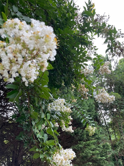 asexyasslightskin header picture leakfans.com