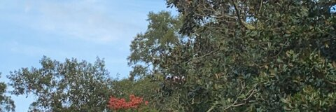 ashdoll222 header picture leakfans.com