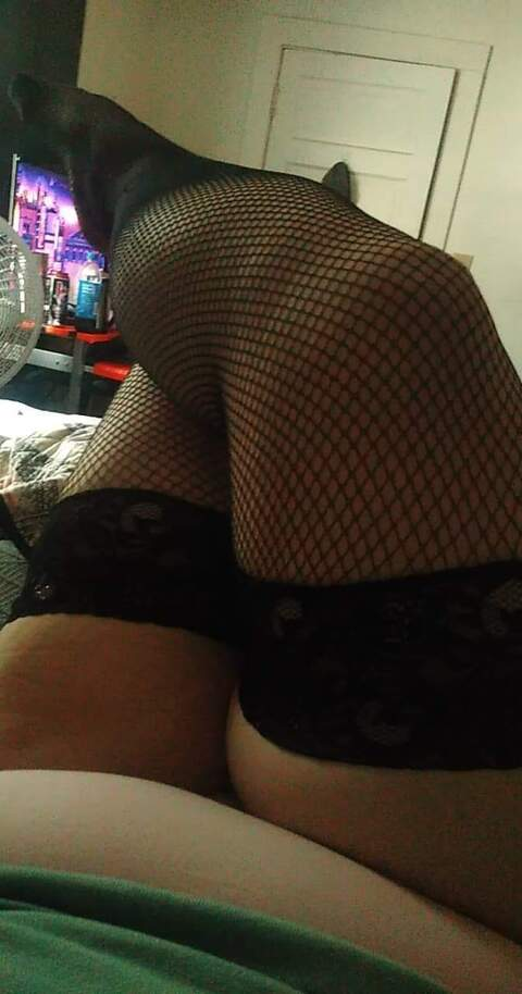 ashestoomuch header picture leakfans.com