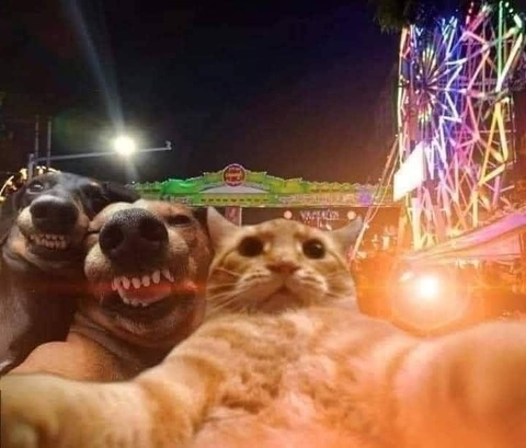 ashleelynn header picture leakfans.com