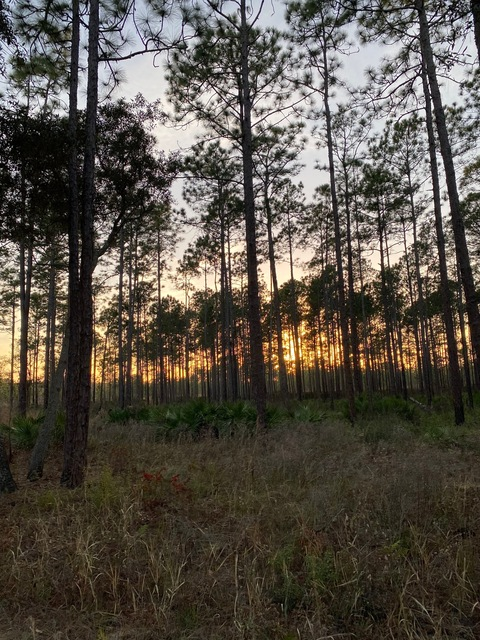 ashleydawnfree header picture leakfans.com