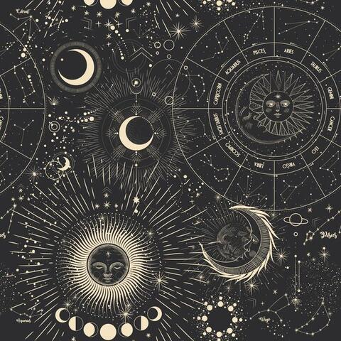 ashlielotustv header picture leakfans.com