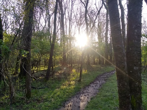 ashlynnmarie header picture leakfans.com