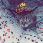 ashmc23 profile picture leakfans.com