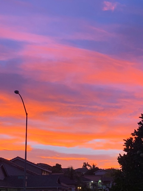 astroptero header picture leakfans.com