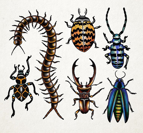 ativanscript header picture leakfans.com