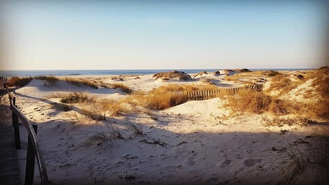 atsoc90 header picture leakfans.com