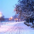 attack profile picture leakfans.com