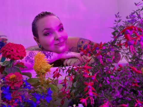 auberginexo header picture leakfans.com