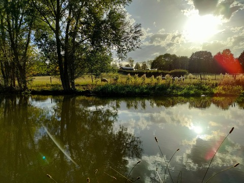 aura_yummy header picture leakfans.com