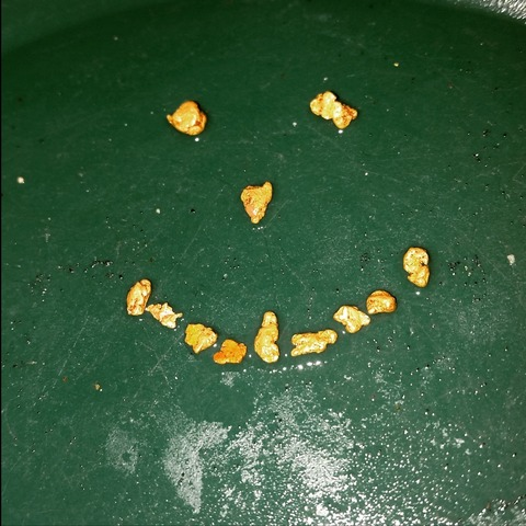 auseeker1 header picture leakfans.com