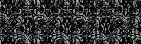 authorvixen header picture leakfans.com