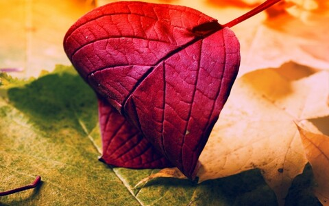 autumnjade301 header picture leakfans.com