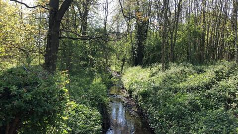 autumnx header picture leakfans.com