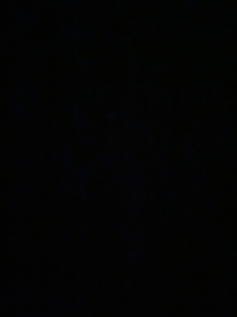 baabyblossoms header picture leakfans.com