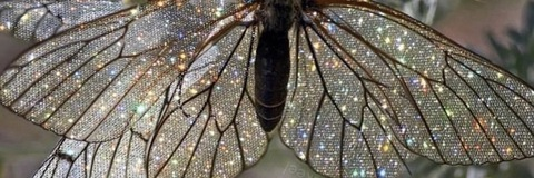 baabygirrrl header picture leakfans.com