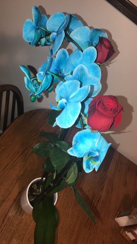 baby.b header picture leakfans.com