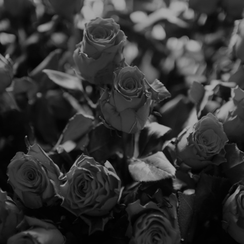 baby_girl_bunny header picture leakfans.com