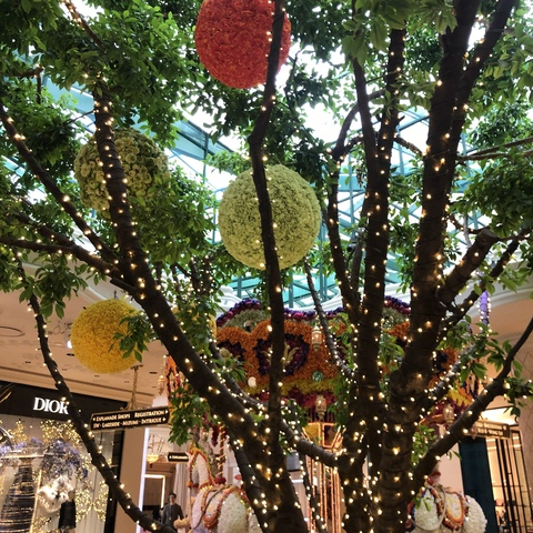 baby_momma header picture leakfans.com