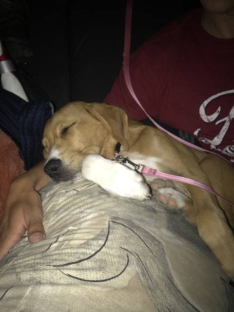 babyboia1 header picture leakfans.com