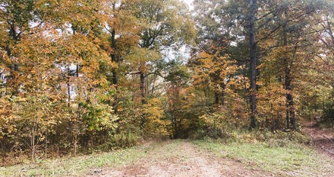 babybubbles856 header picture leakfans.com