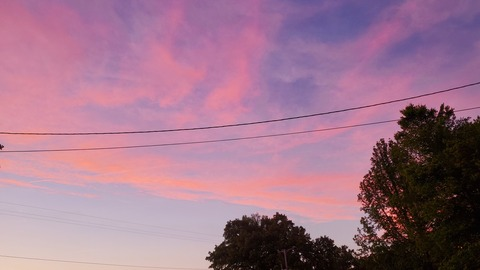 babyd_oll4244 header picture leakfans.com